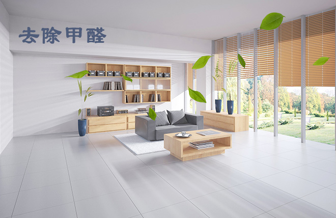 甲醛治理1